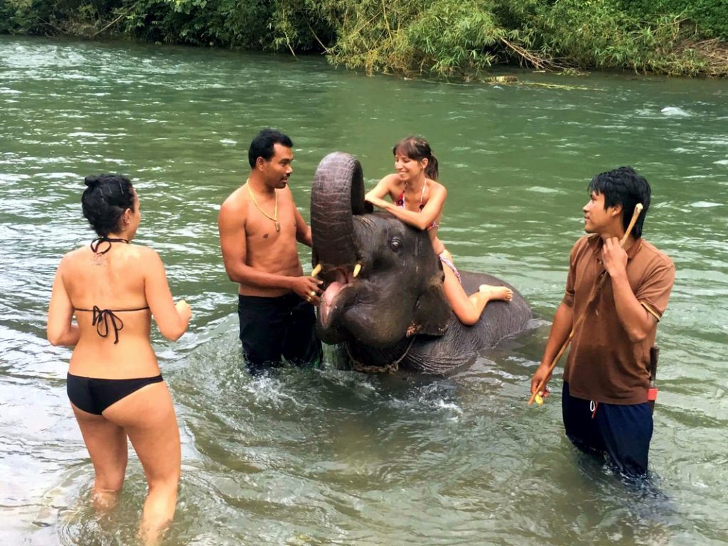 Elephant Bathing