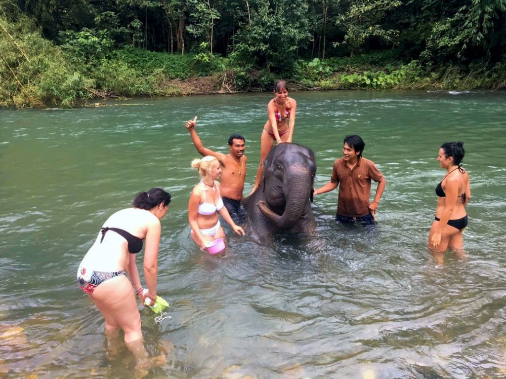 Elephant Bathing