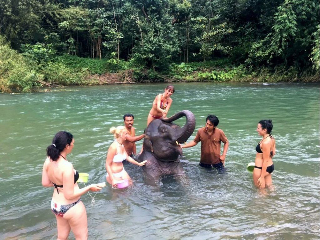 Elephant Bathing